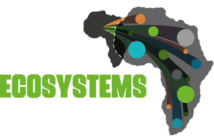 Future Ecosystems for Africa