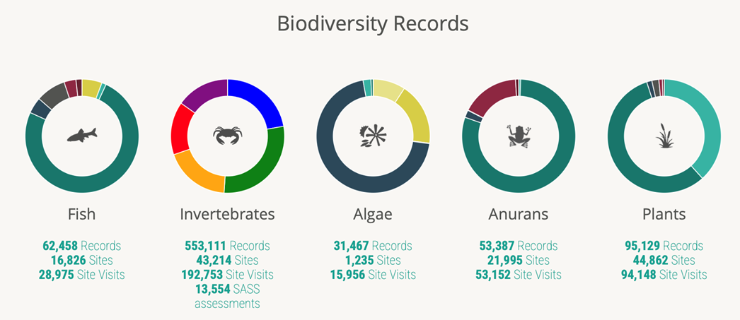 Biodiversity Wheel Chart