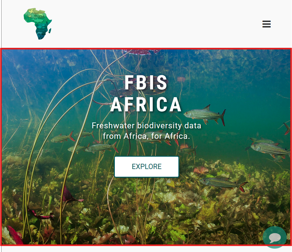 FBIS Africa carousel