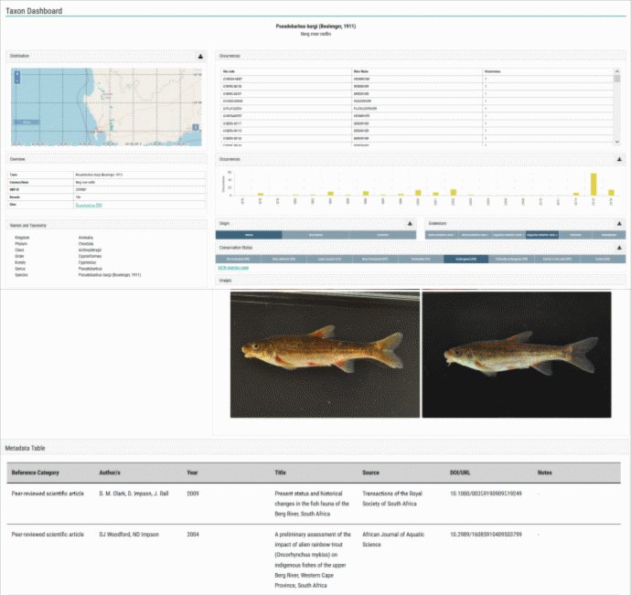 Taxon Dashboard 1