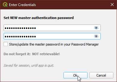 Set Master Password