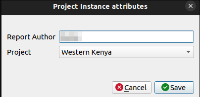 Project Instance Attributes