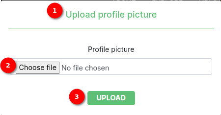 Profile picture popup