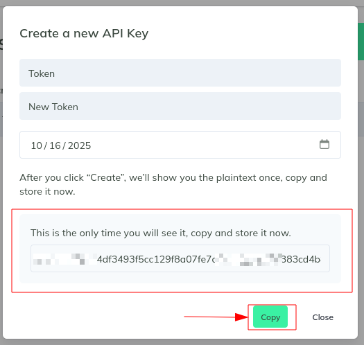 Copy API Key